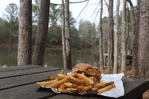A burger and fries on a picnic table.