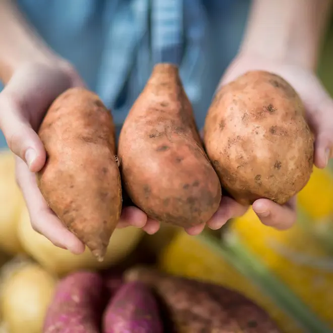 A person holding three sweet potatoes with other vegetables in the background.